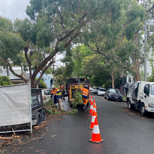 Tree works